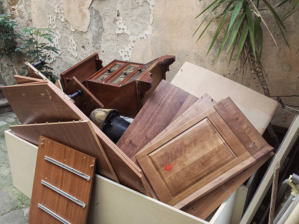 Best Yard Waste Removal  in Dland, MI