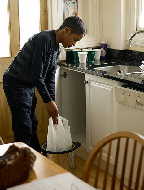 Best Trash Removal Near Me  in Dland, MI